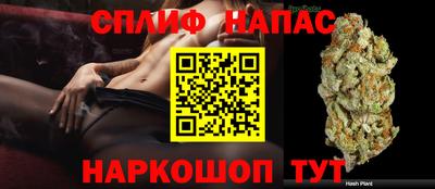 дурь Камышлов