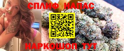 дурь Камышлов