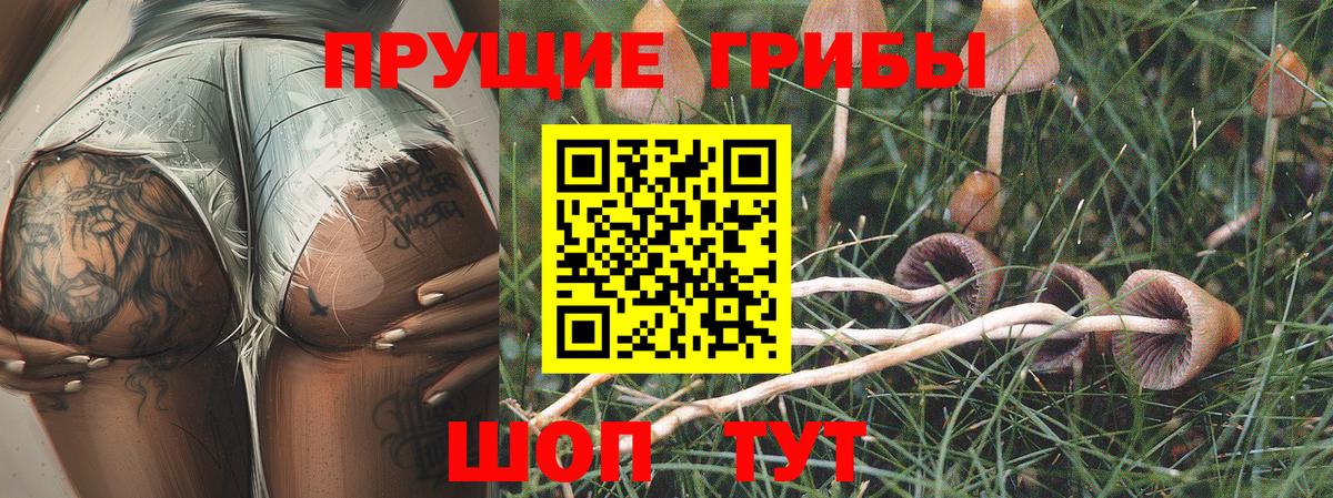 Кузнецк  Псилоцибиновые грибы GOLDEN TEACHER  Вход с VPN 