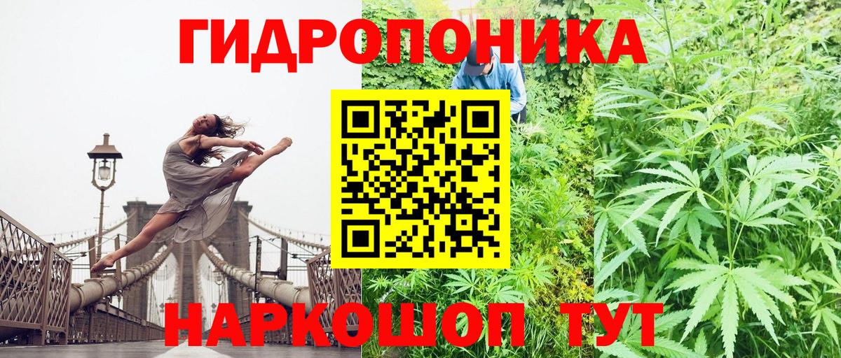 Кузнецк  Марихуана OG Kush  Вход с VPN  Марихуана VHQ 